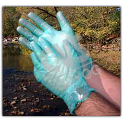 cvs vinyl gloves